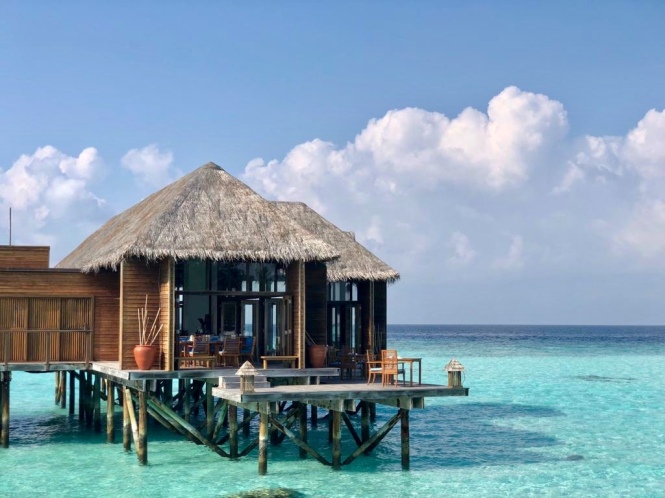 Malediven Hotelpraktikum Ales Consulting International